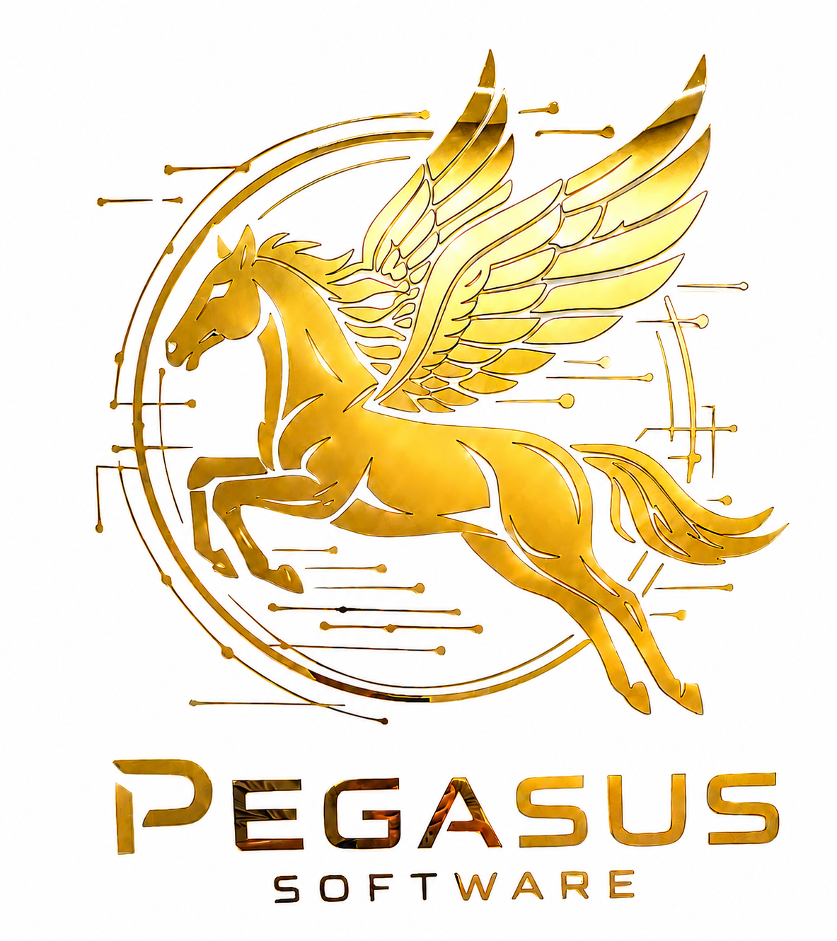 Pegasus Software